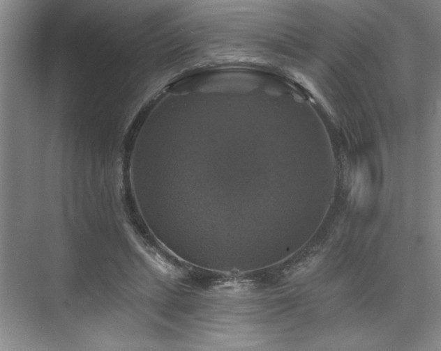 X0000076080447200609221227