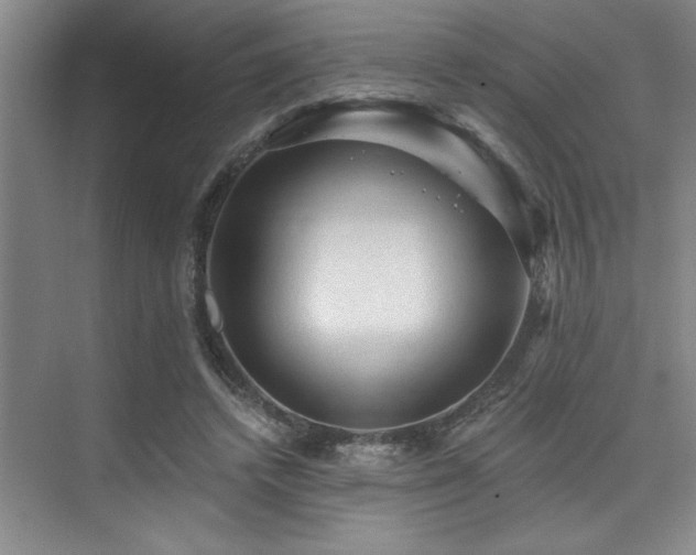 X0000076080448200609221227