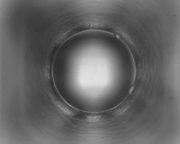 X0000076080450200609221227