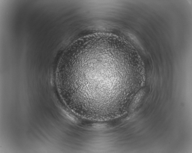 X0000076080457200609221227