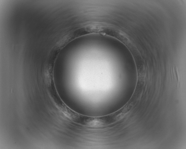 X0000076080460200609221227