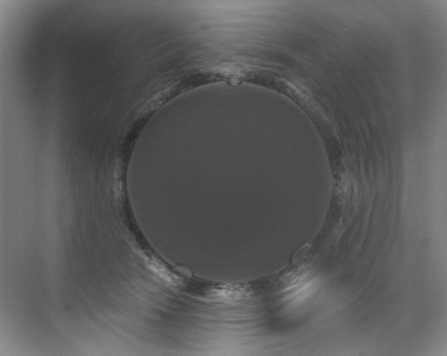 X0000076080466200609221227