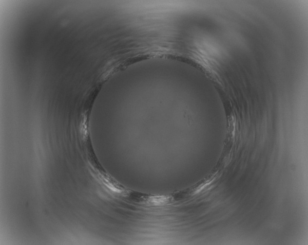 X0000076080479200609221227