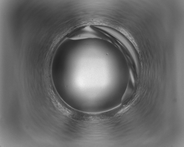X0000076080481200609221226
