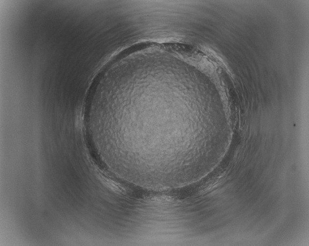 X0000076080483200609221226