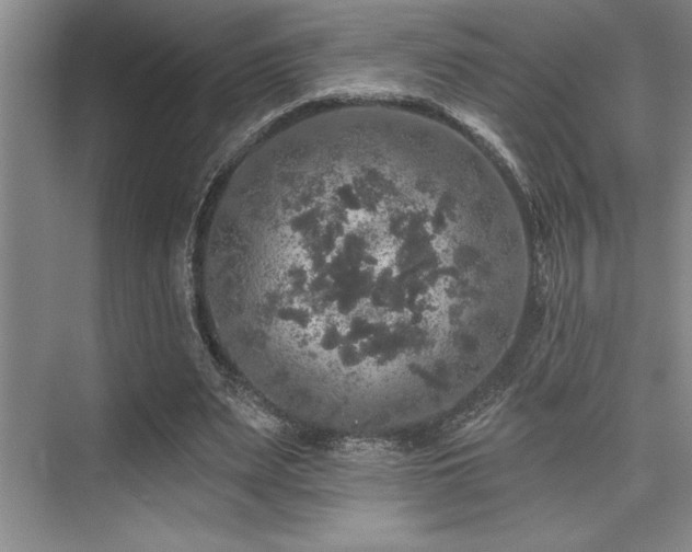 X0000076080487200609221226
