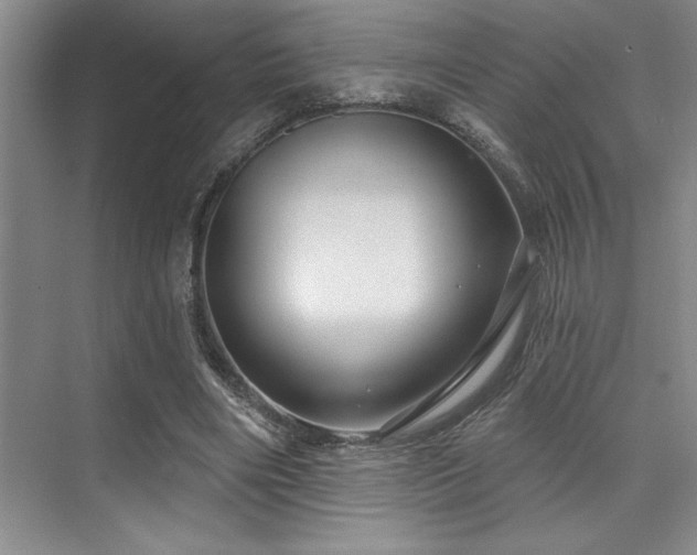 X0000076080490200609221226
