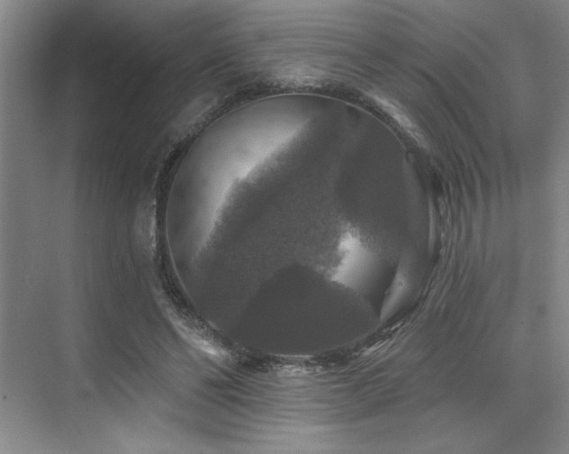 X0000076080494200609221226