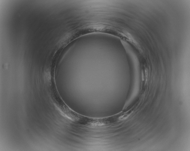 X0000076080500200609221226