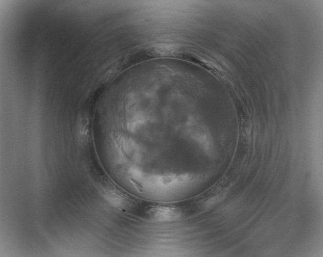 X0000076080507200609221226