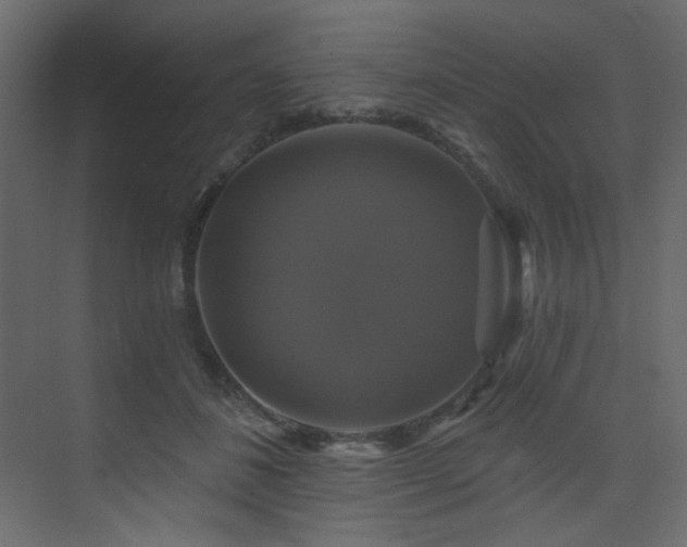 X0000076080508200609221226