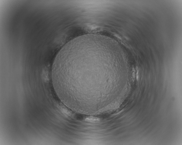 X0000076080515200609221226