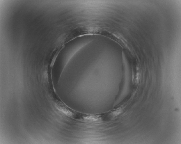 X0000076080516200609221226