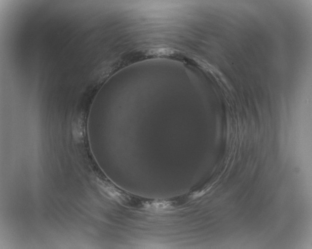 X0000076080517200609221226