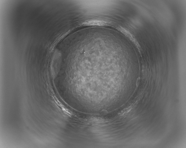 X0000076080529200609221225