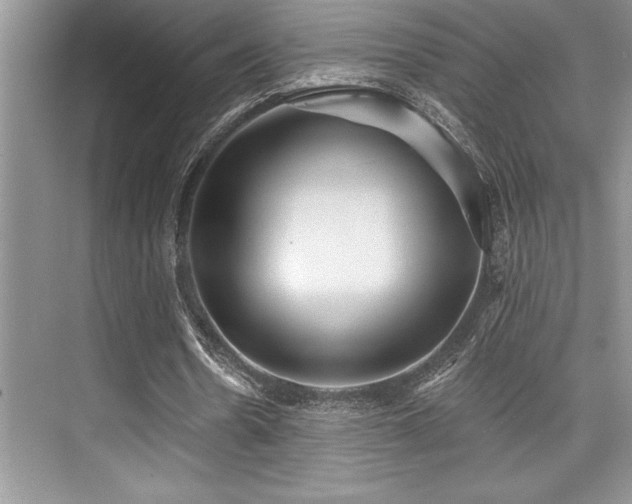 X0000076080530200609221225