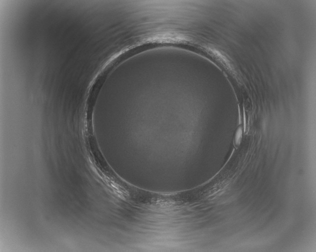 X0000076080531200609221225