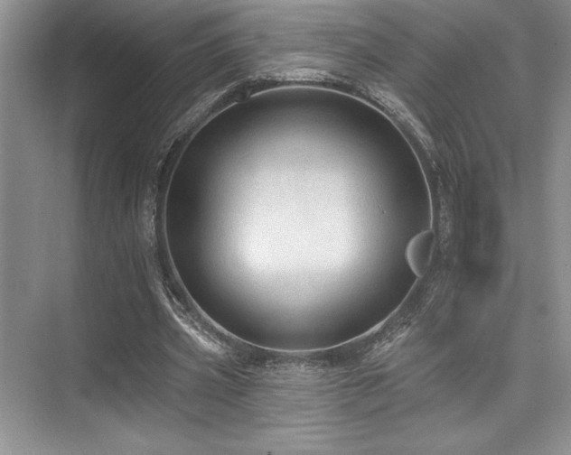 X0000076080533200609221225