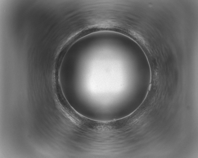 X0000076080535200609221225