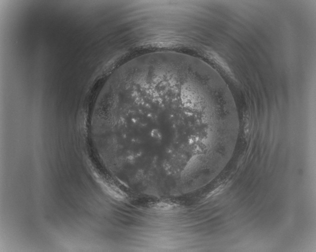 X0000076080542200609221225