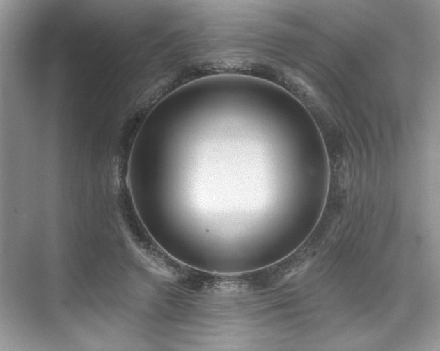 X0000076080546200609221225