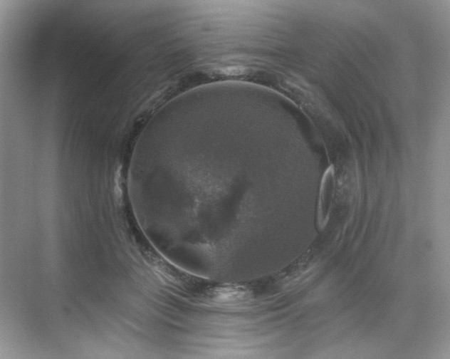 X0000076080555200609221225