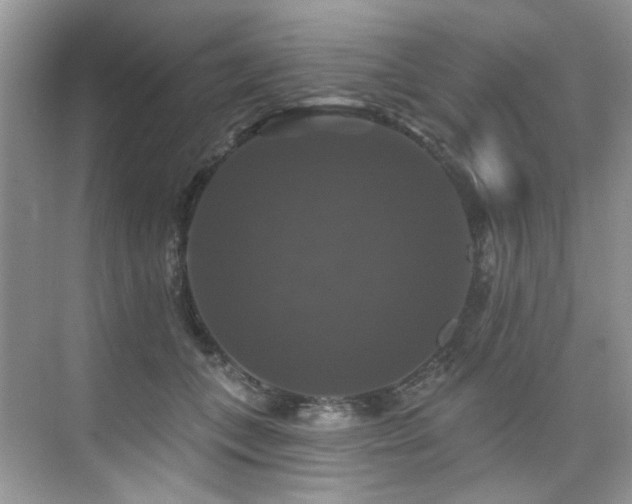 X0000076080559200609221225