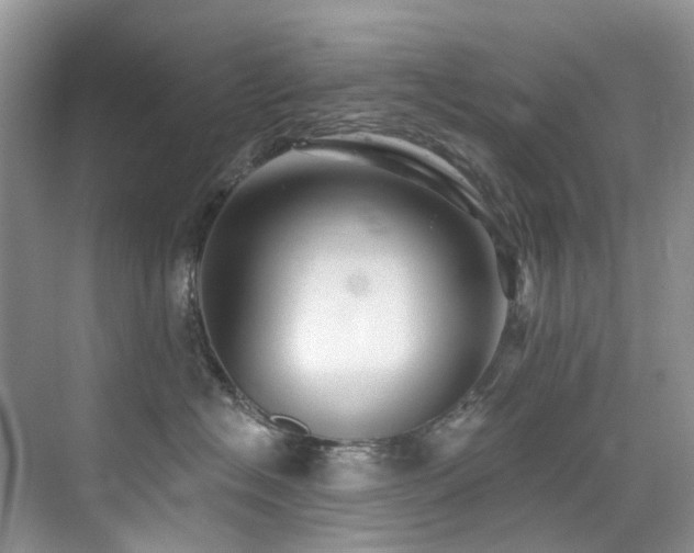 X0000076080574200609221226