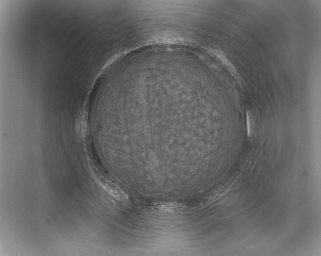 X0000076080579200609221225