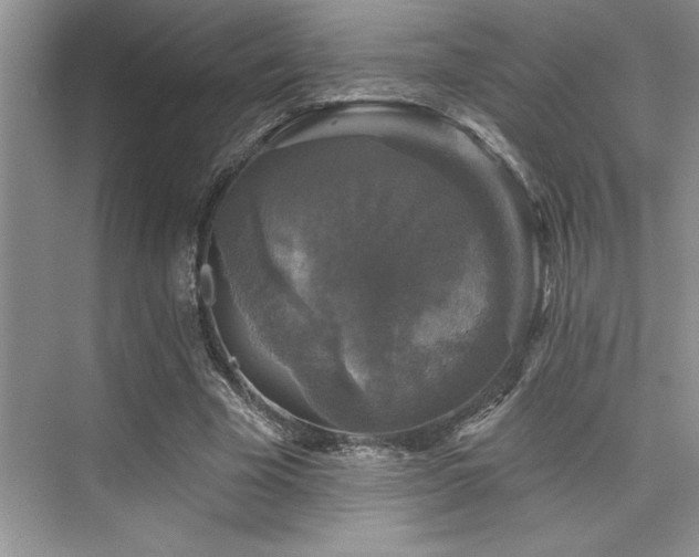 X0000076080585200609221225