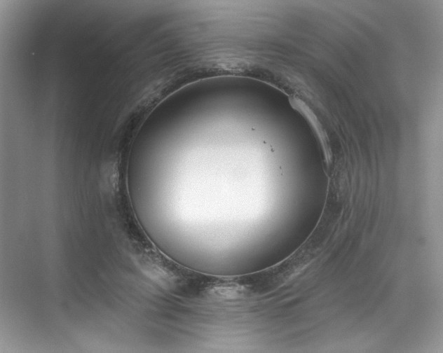 X0000076080595200609221225