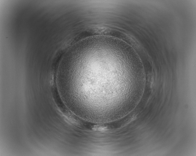 X0000076080602200609221224