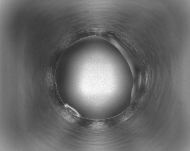 X0000076080609200609221224