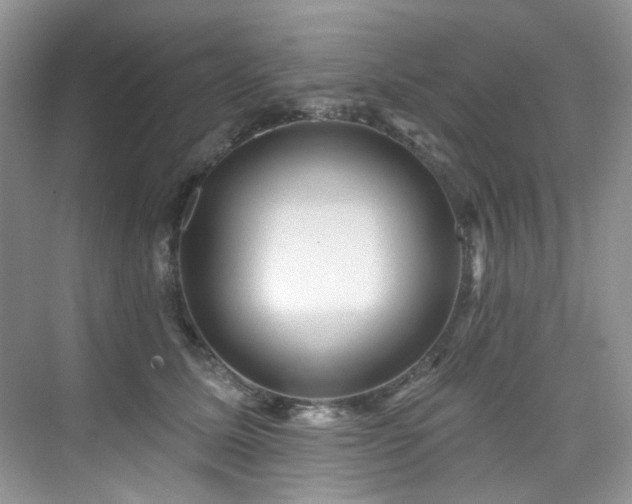 X0000076080611200609221224