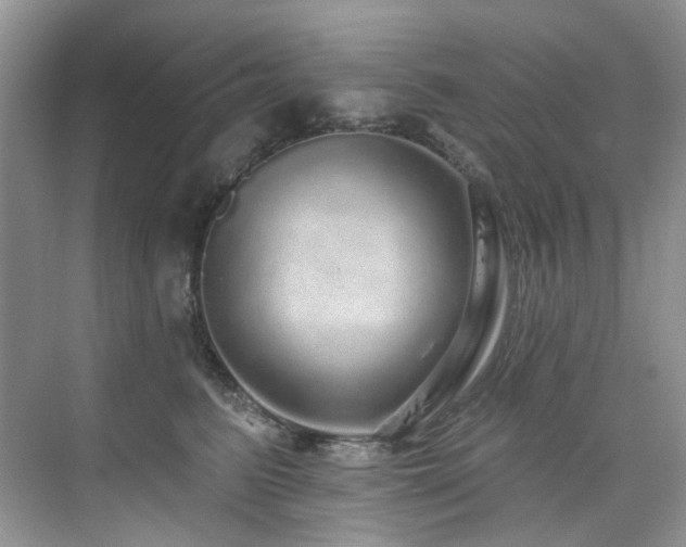 X0000076080615200609221224