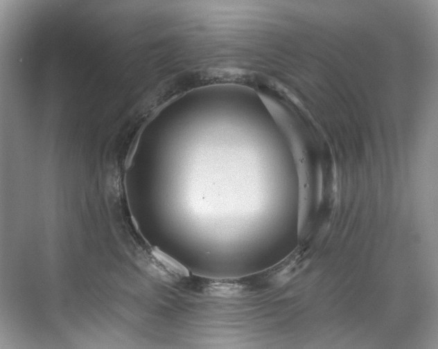 X0000076080617200609221224