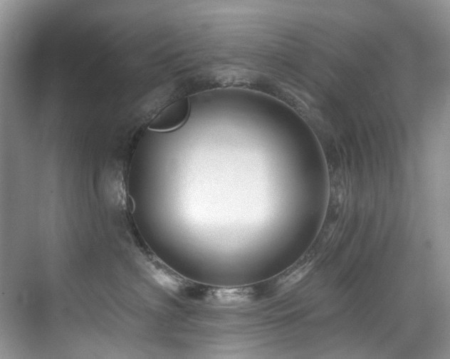 X0000076080622200609221224