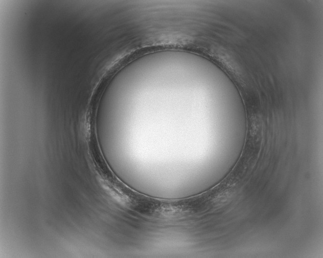 X0000076080632200609221223
