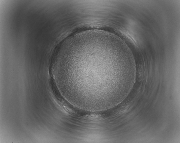 X0000076080639200609221223