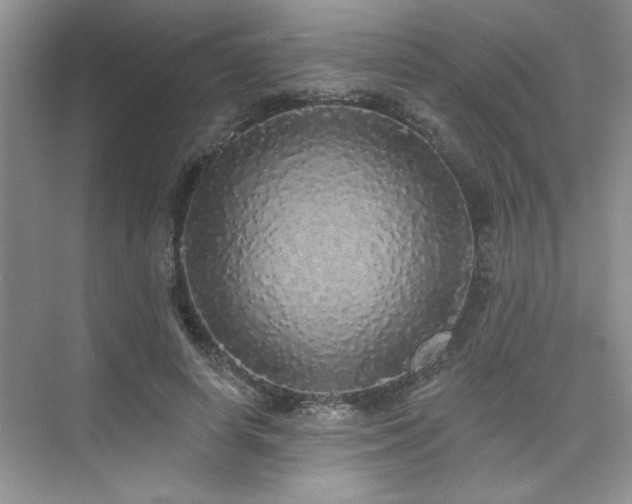 X0000076080642200609221224