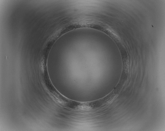 X0000076080644200609221224