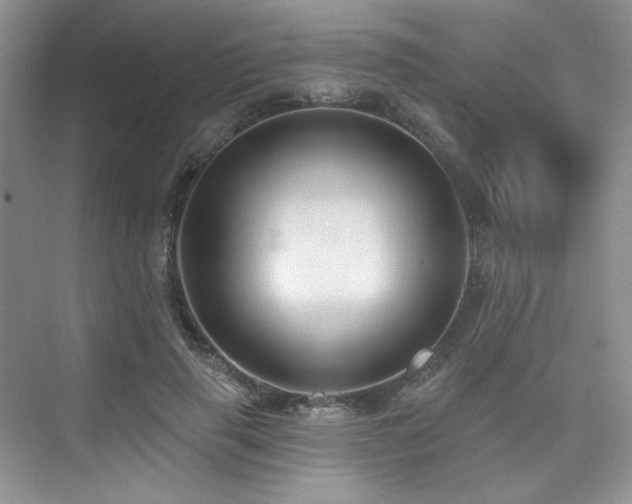 X0000076080645200609221224
