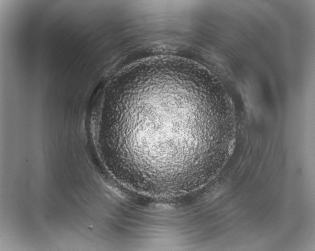 X0000076080649200609221224