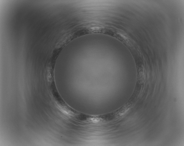 X0000076080654200609221224