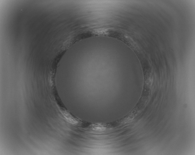 X0000076080658200609221224