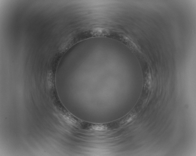 X0000076080659200609221224