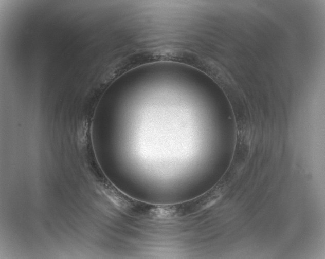 X0000076080660200609221224