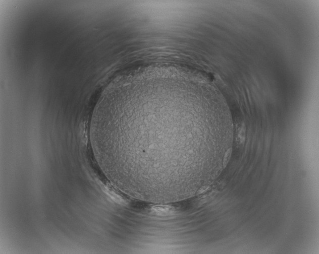 X0000076080666200609221224