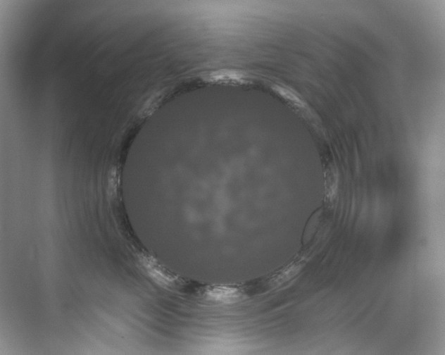 X0000076080669200609221224