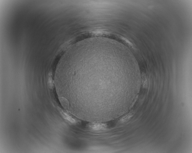 X0000076080670200609221224